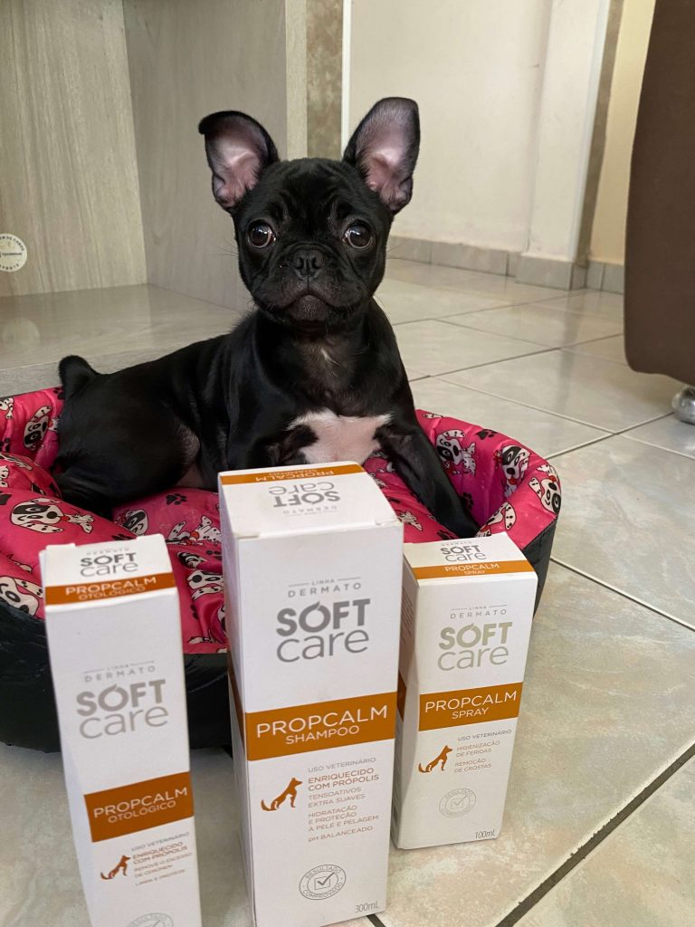 Médica Veterinária Mariana Ramos